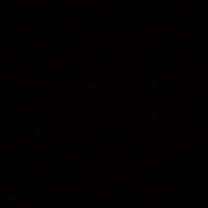 Meet your Posher, Phoebe